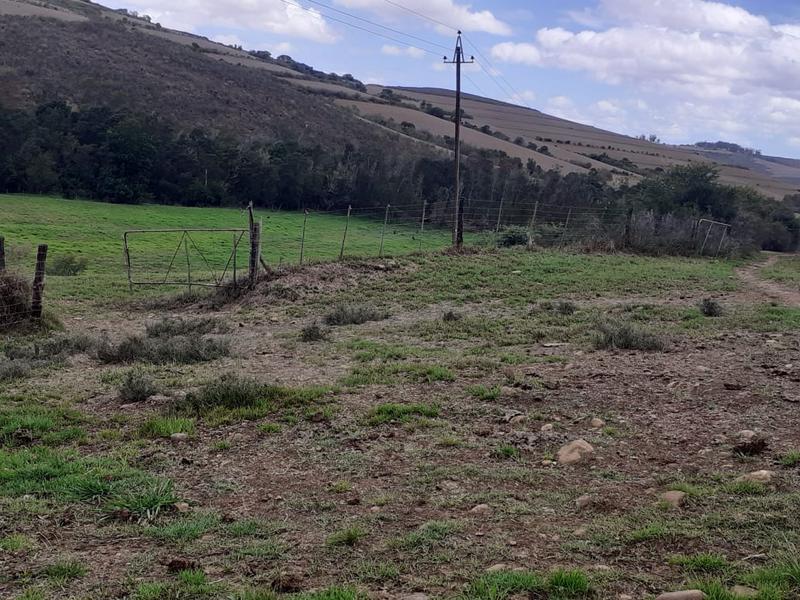 0 Bedroom Property for Sale in Albertinia Western Cape